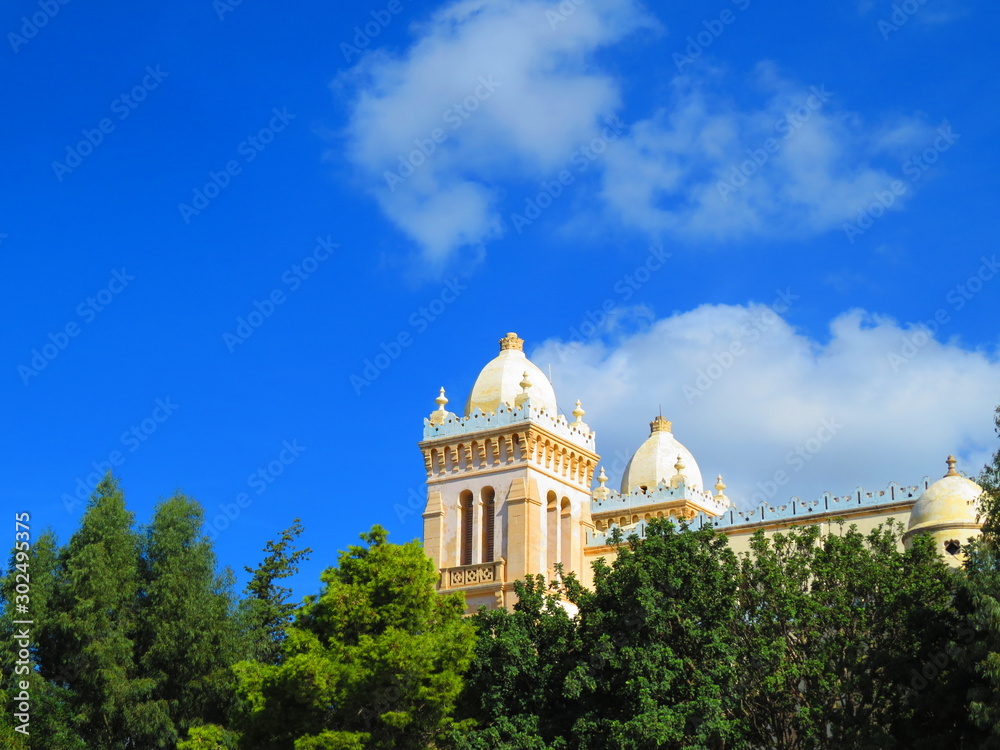 Obraz premium city of Carthage in Tunisia