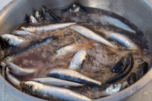 Sardines surgelées cuites au barbecue  photo