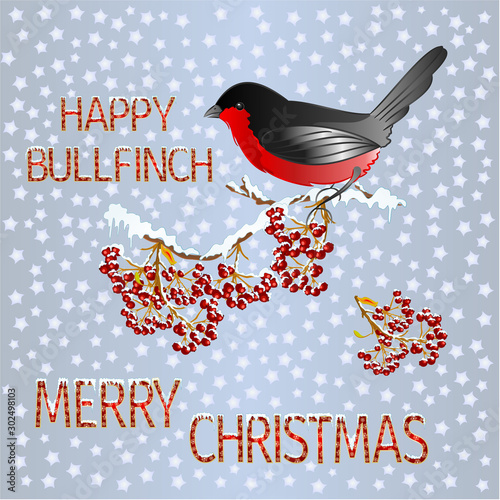 Happy  small bird bullfinch on a rowanberry branch Merry Christmas and New yar and lettering and snow  vintage vector illustration editable hand draw