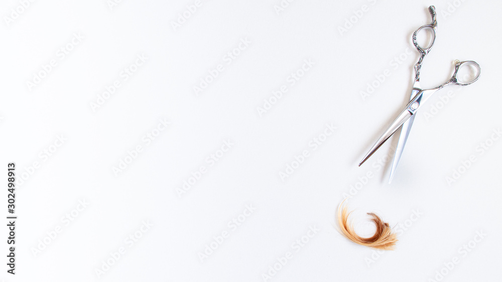 Top view flat lay of professional hair cutting shears and piece of hair blond and brunette of the right site of the image on white background with space for text. Hairdresser salon equipment concept. Top view flat lay of professional hair cutting shears and piece of hair blond and brunette of the right site of the image on white background with space for text. Hairdresser salon equipment concept.
