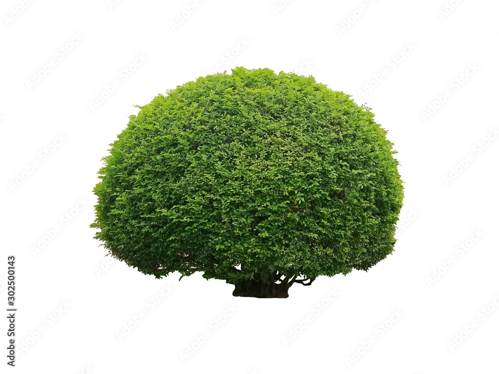 globe on green grass isolated on white globe on green grass isolated on white