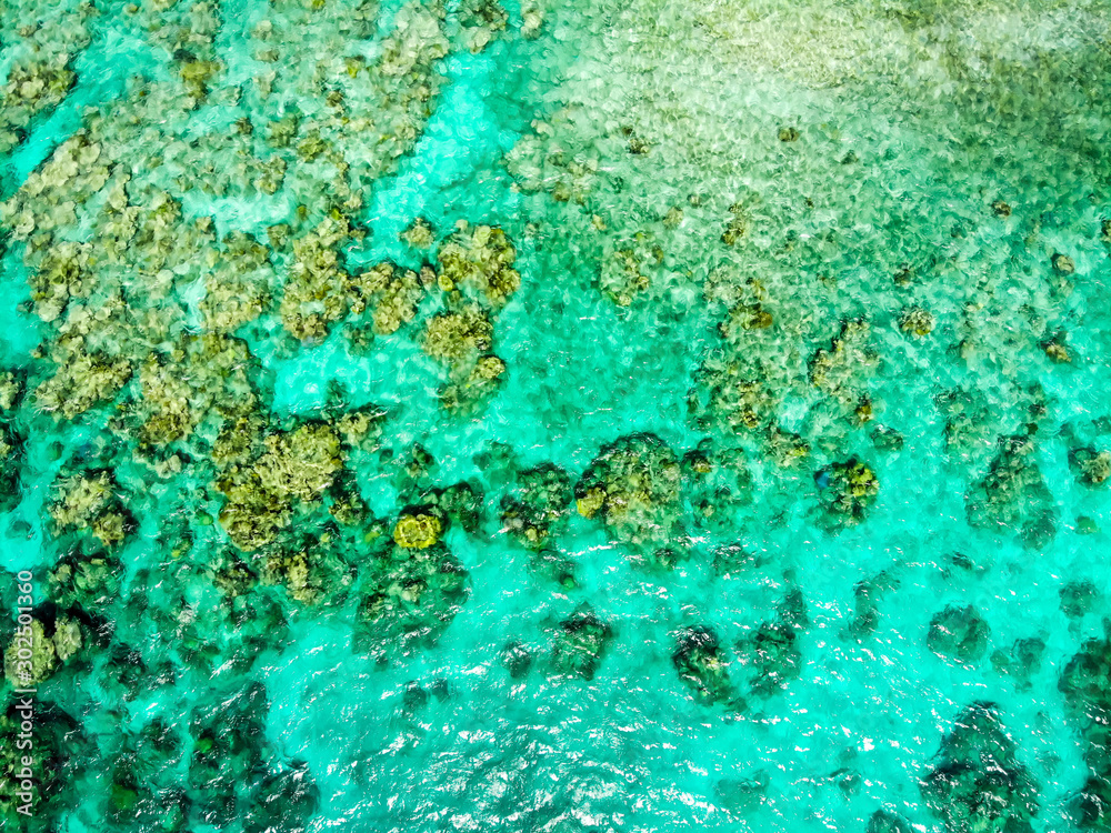 Low aerial directly downward facing shot of Norman reef, GBR, Australia