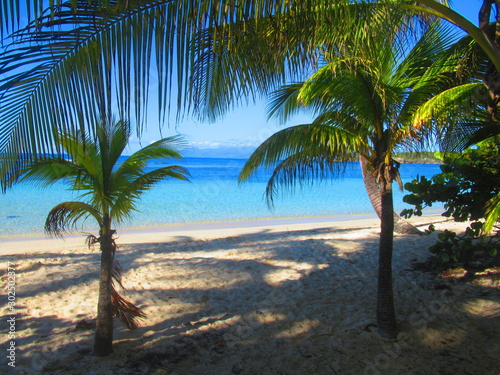 Des palmiers sur la plage de sable blanc, devant la mer turquoise © Patrick
