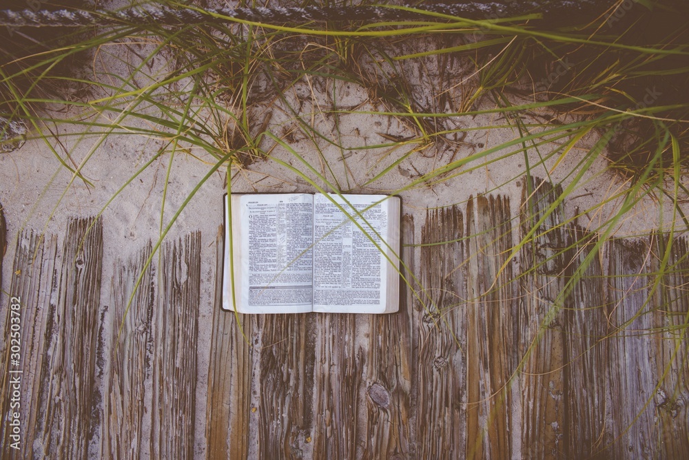Overhead shot of an open bible on a wooden pathway near a sandy shore and plants - obrazy, fototapety, plakaty 