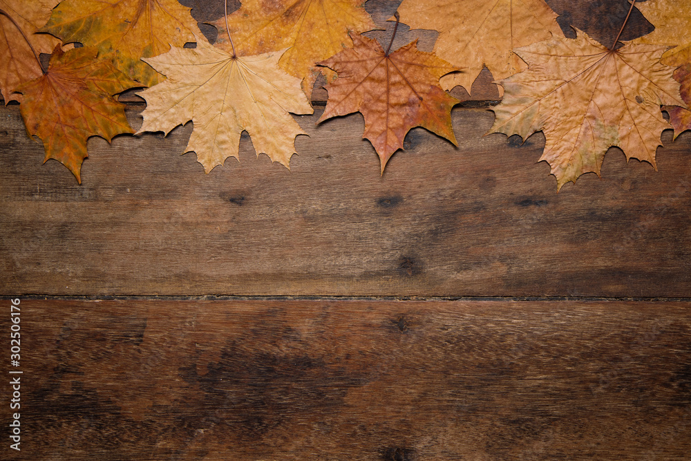 Autumn leaves on rustic wooden table. Thanksgiving background. Top view with copy space. Autumn leaves on rustic wooden table. Thanksgiving background. Top view with copy space.