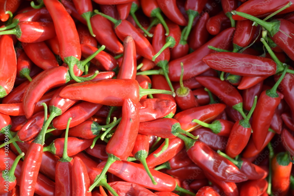 red hot chili peppers - obrazy, fototapety, plakaty 