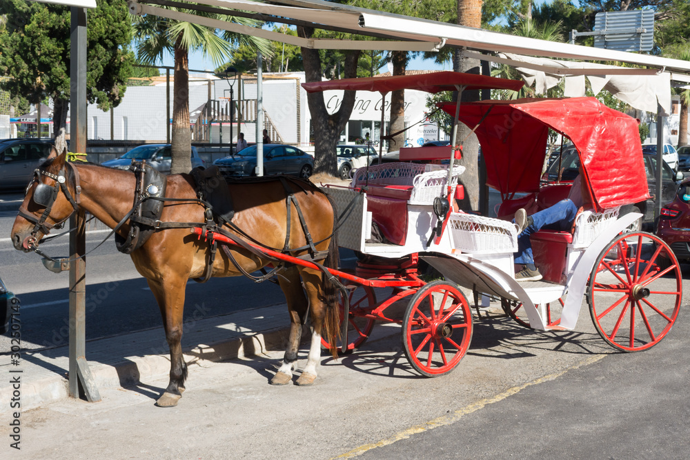 Horse-drawn carriages in the parking lot near the bus stop.