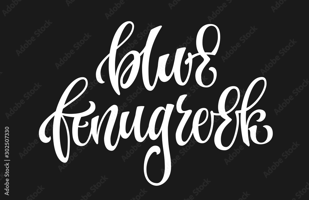 White colored hand drawn spice label - blue fenugreek. Isolated calligraphy scrypt stile word. Vector lettering design element. Labels, stikers, packages design element. White colored hand drawn spice label - blue fenugreek. Isolated calligraphy scrypt stile word. Vector lettering design element. Labels, stikers, packages design element.