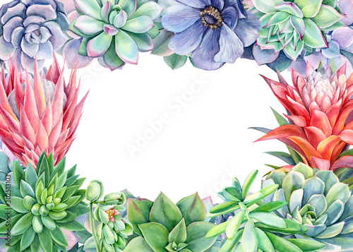 frame of green plants and flowers  succulents  echiveria  guzmania  watercolor painting  hand drawinggreeting card with space for text