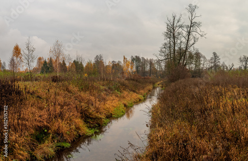 mazowiecka jesień photo