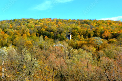 Typical landscape in the forests of Transylvania, Romania. Oravita and Anina photo