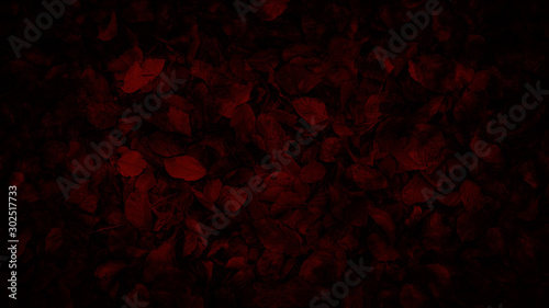 Rötliches Laub - Herbststimmung - Hintergrund