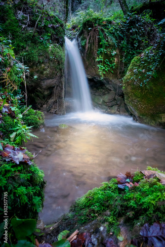 Fototapeta Naklejka Na Ścianę i Meble -  Cascata In Mezzo Al Bosco