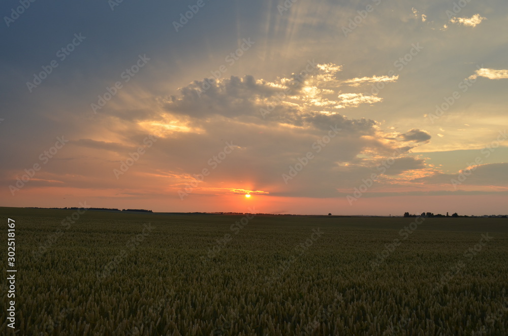 Fototapeta premium sunset
