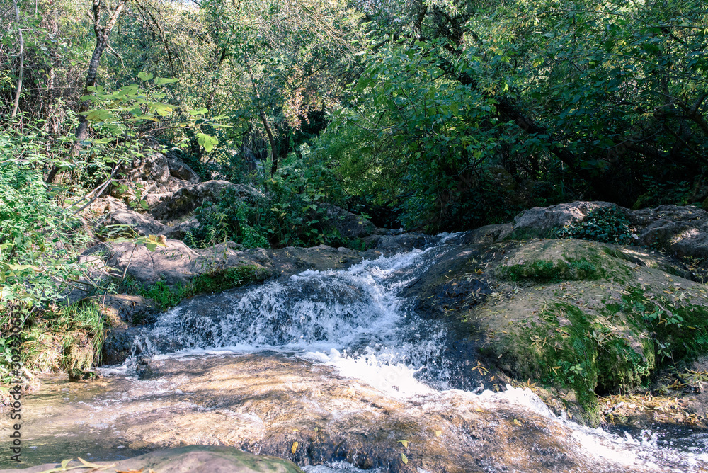 Forest in gallery crossed by stream in autumn Sierra Norte province of Seville Spain Forest in gallery crossed by stream in autumn Sierra Norte province of Seville Spain