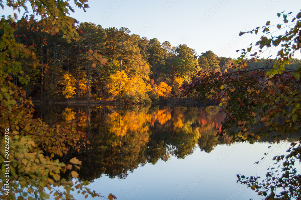 Little Mulberry Park, GA Autumn Forest
