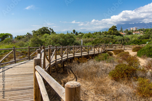 Dunas de Artola - Natural Park in Marbella, Costa del Sol-Spain. Wood path , touristic atraction photo