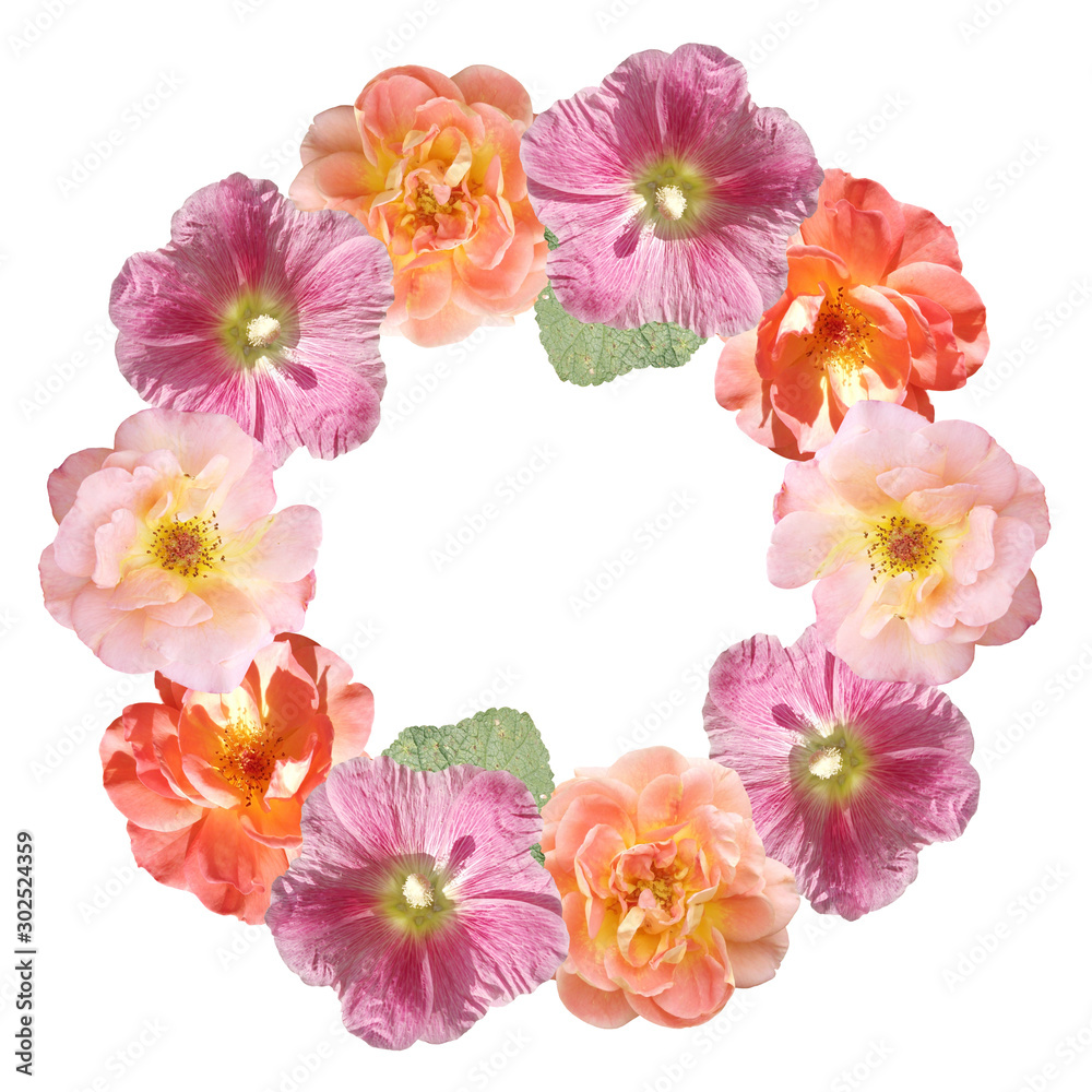 Beautiful floral circle of roses and mallow. Isolated