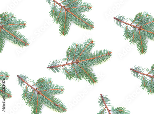Pattern of branches of Christmas tree isolated on white background