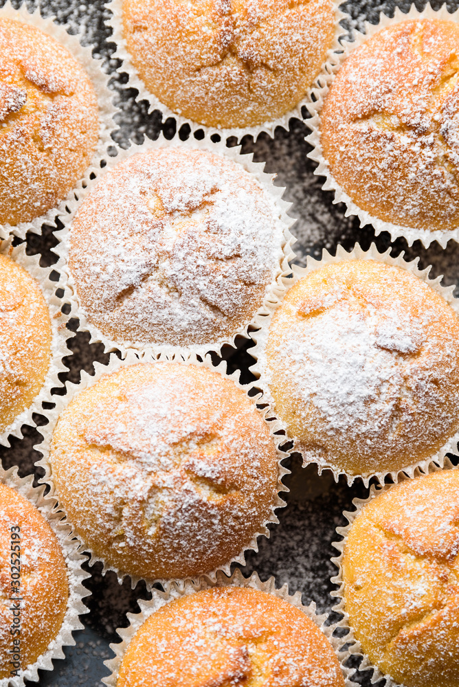 Homemade apple muffins with white sugar powder on wooden table Homemade apple muffins with white sugar powder on wooden table