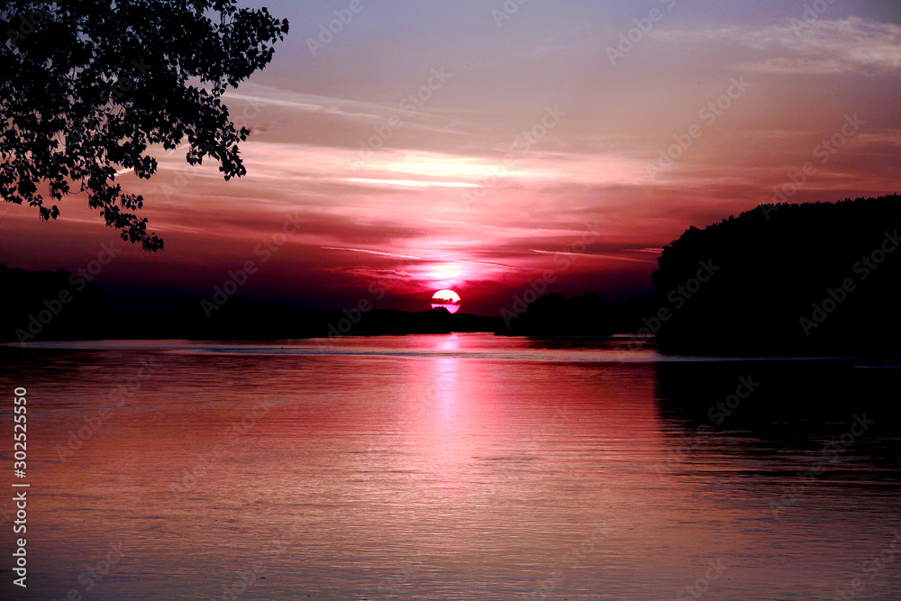 Pink Sunset from the seaside with trees, Sunset with large sky and sea Pink Sunset from the seaside with trees, Sunset with large sky and sea