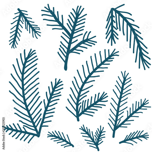 Doodle pine branches hand drawn set. Christmas tree branches on white. Winter simple minimalistic vector illustration for christmas greeting cards, backgrounds and holiday decor