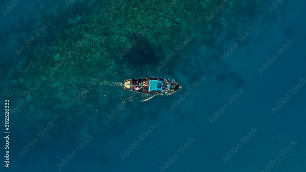 swimming in the sea