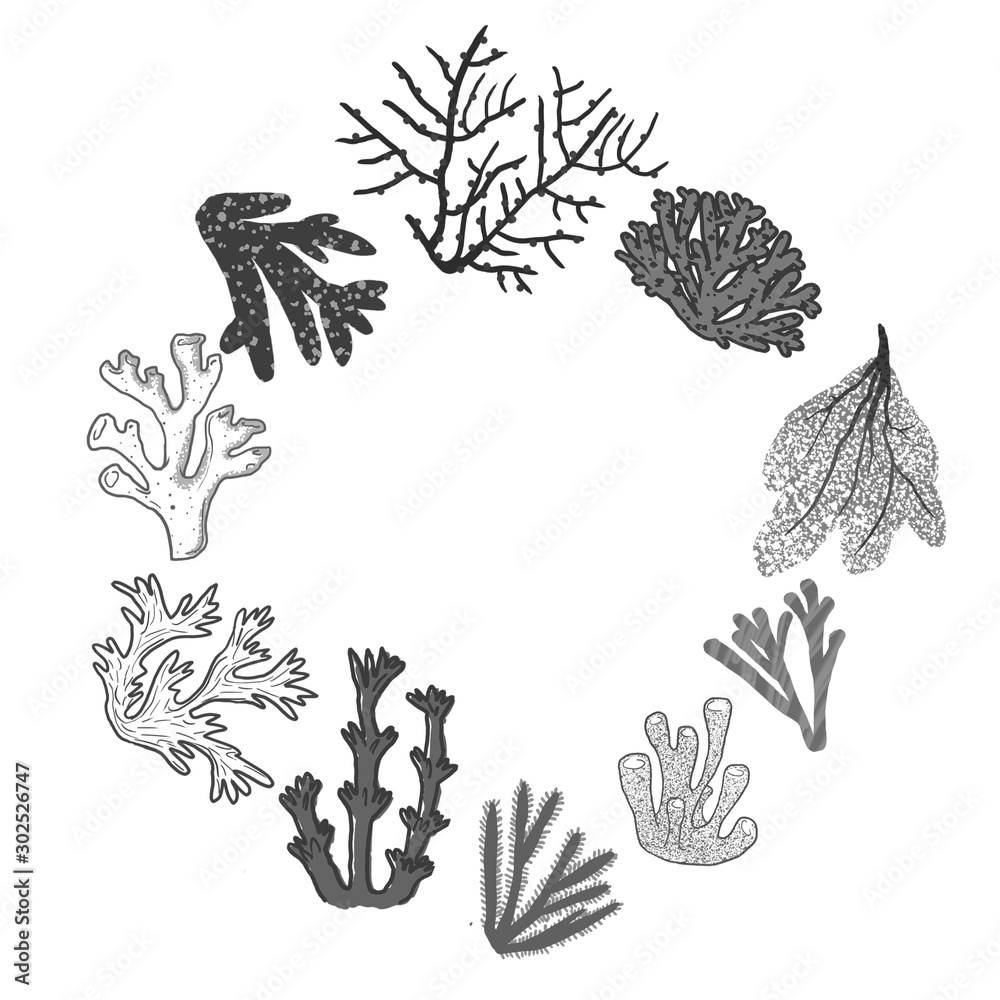 hand drawn frame whith coral reef black and white hand drawn frame whith coral reef black and white
