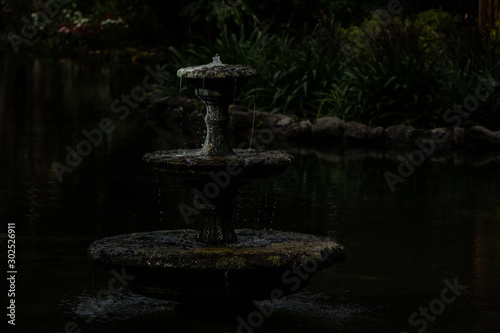 dark fountain