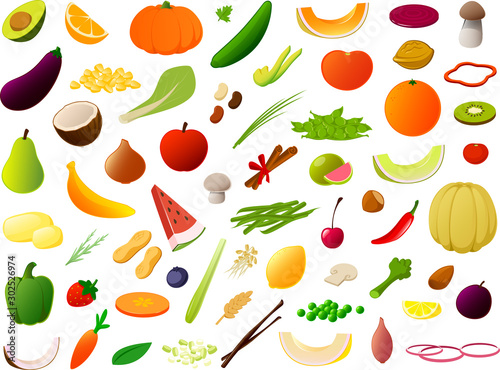 Fototapeta Naklejka Na Ścianę i Meble -  Vector illustration of various kinds of vegetables and fruits