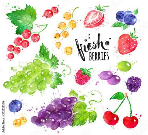 Watercolor illustration set of berries