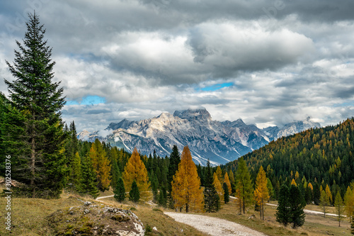 Colourful autumn panorama with yellow larches in the foreground and the Faloria mountain in the background