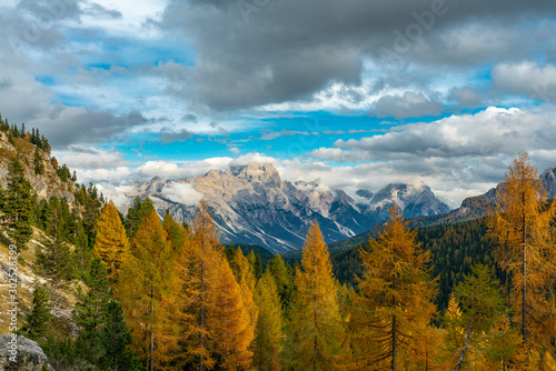 Colourful autumn panorama with yellow larches in the foreground and the Faloria mountain in the background
