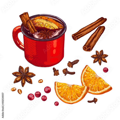 Hand drawn mulled wine recipe. Hot drink in cup, anise stars, cinnamon, orange slices, cloves, cranberry. Vector illustration  isolated on white background.