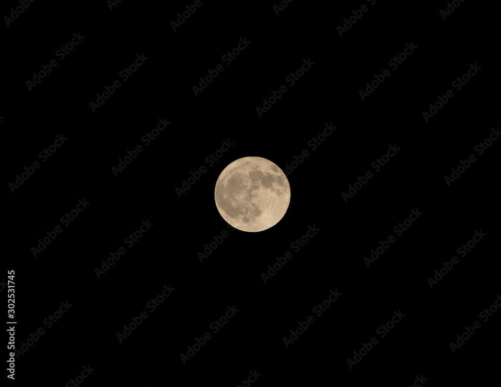 pure moon pure moon