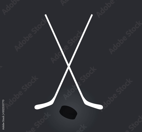 Photography Hockey sticks and puck. vector