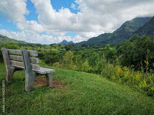 bench in the mountains over botanical garden Oahu Hawaii