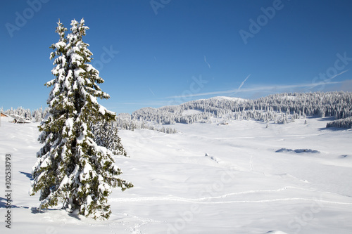 Paysage montagnes du Jura sous la neige