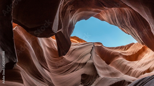 Abstract Canyon Antelope - background concept