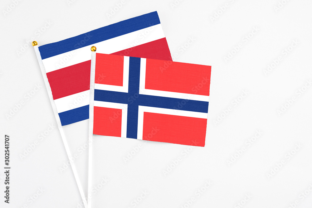 Bouvet Islands and Costa Rica stick flags on white background. High quality fabric, miniature national flag. Peaceful global concept.White floor for copy space.