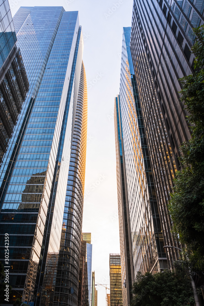 Fototapeta premium Sunset view of street lined up with modern high-rise building, with sunlight reflected on the glass facades; South of Market District, San Francisco, California