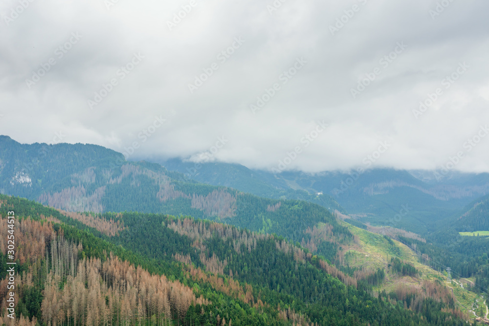 Obraz premium Tatry mountains covered with beautiful forests and covered with thick fog and clouds