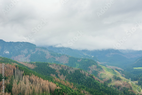 Tatry mountains covered with beautiful forests and covered with thick fog and clouds © Adga