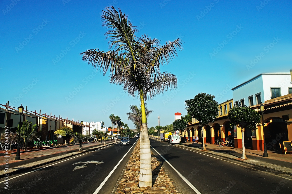 Photo of the street with orange houses on the Canarian Island and palm in the center of the road.