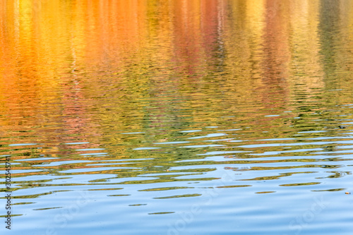 Fall trees reflected in a lake. 