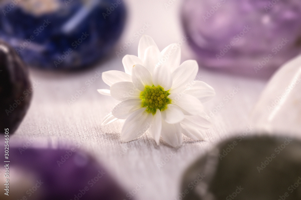 Zen stone with little flower, meditation concept, zen lifestyle. Zen stone with little flower, meditation concept, zen lifestyle.