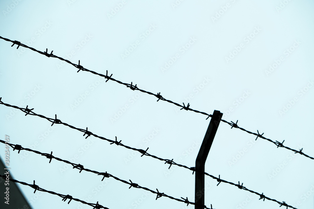 Sihouette of barbed wire on white background 02 Sihouette of barbed wire on white background 02