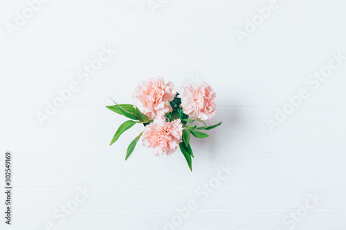 Top view of pastel pink carnations flowers