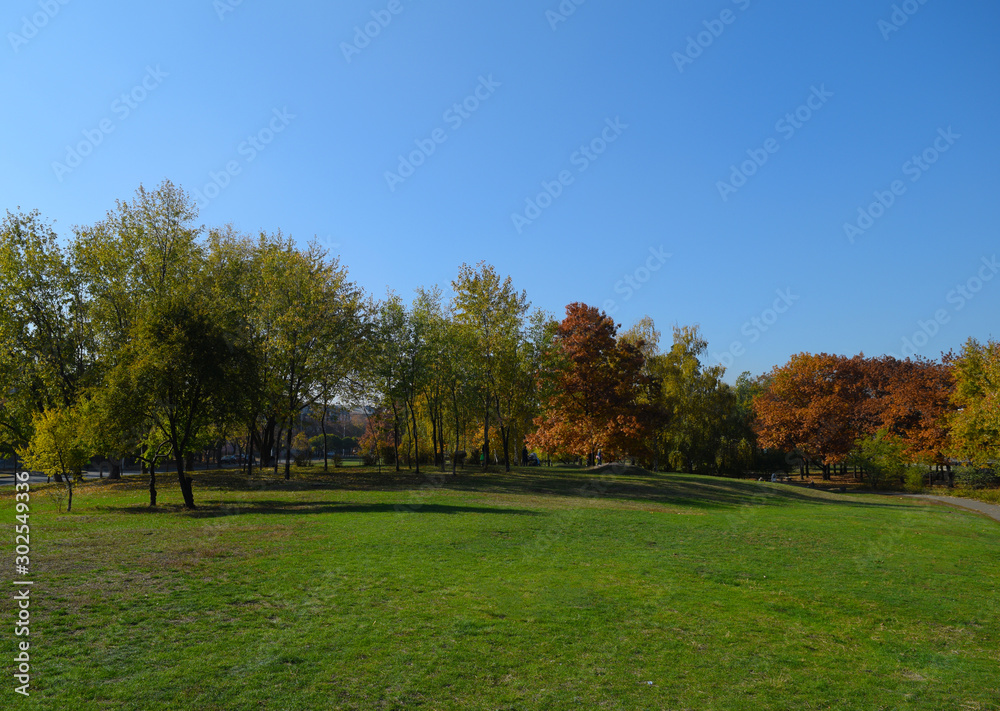 Beautiful green natural Park. Landscape.