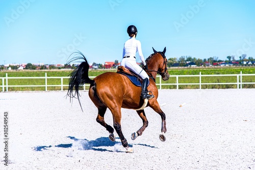Horse riding . Young girl riding a horse . Equestrian sport in details. Sport horse and rider on gallop . the jockey on a horse